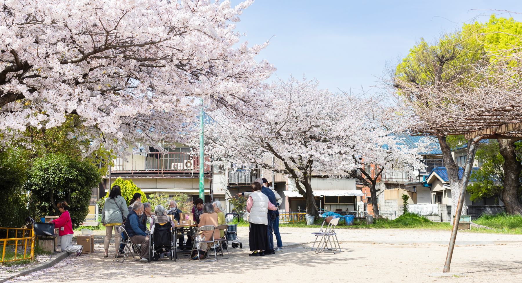 みんなでお花見の写真