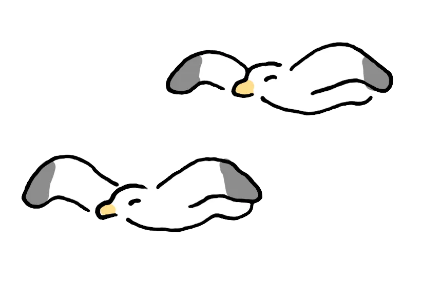 かもめが２羽とんでいるイラスト